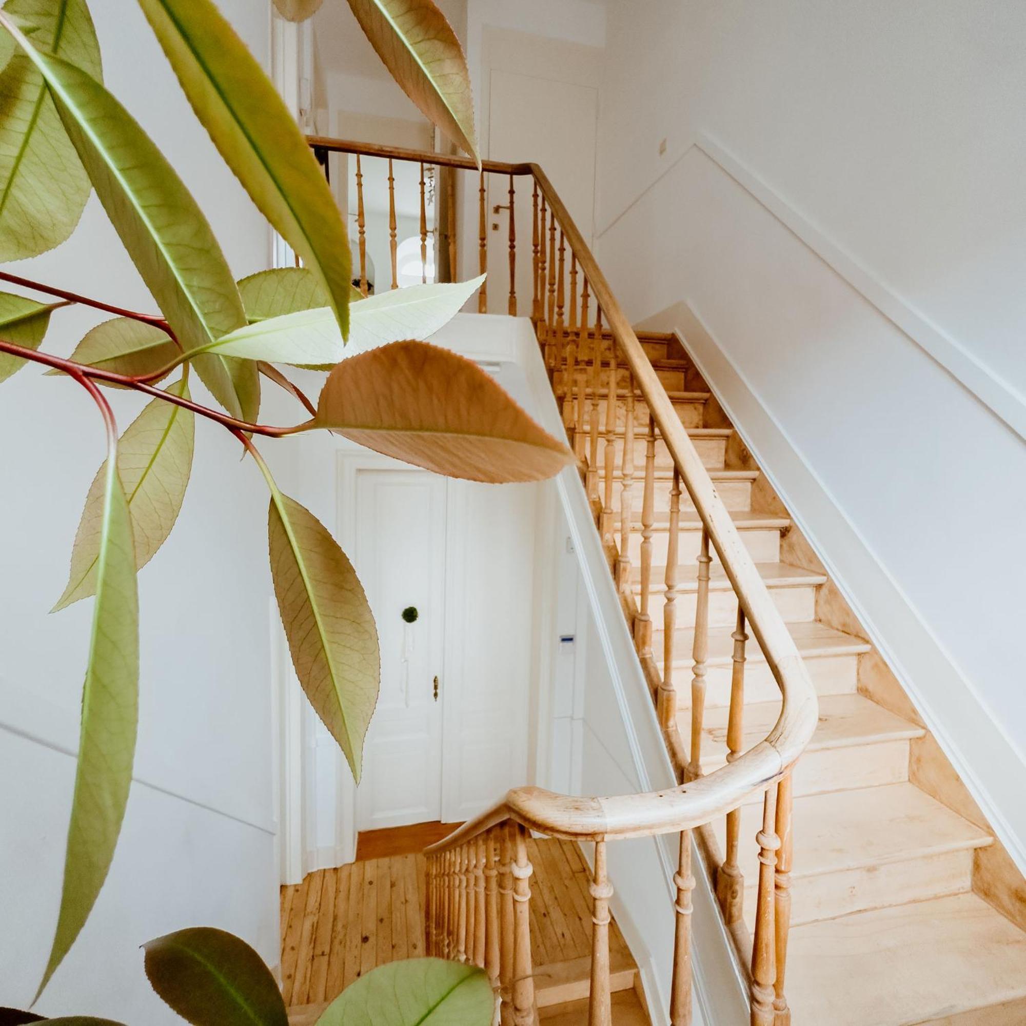 Ambiorix Residence Brussels Ngoại thất bức ảnh